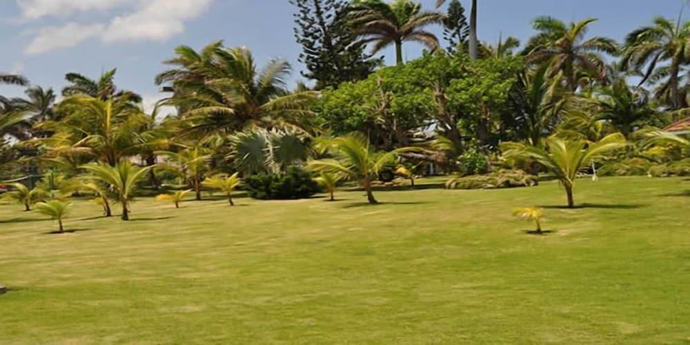 Seven Seas - Ocho Rios 4BR Property Grounds