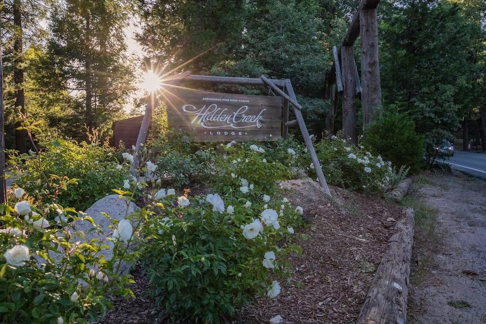 أرو هيد باين روز كابينز المنطقة الخارجية