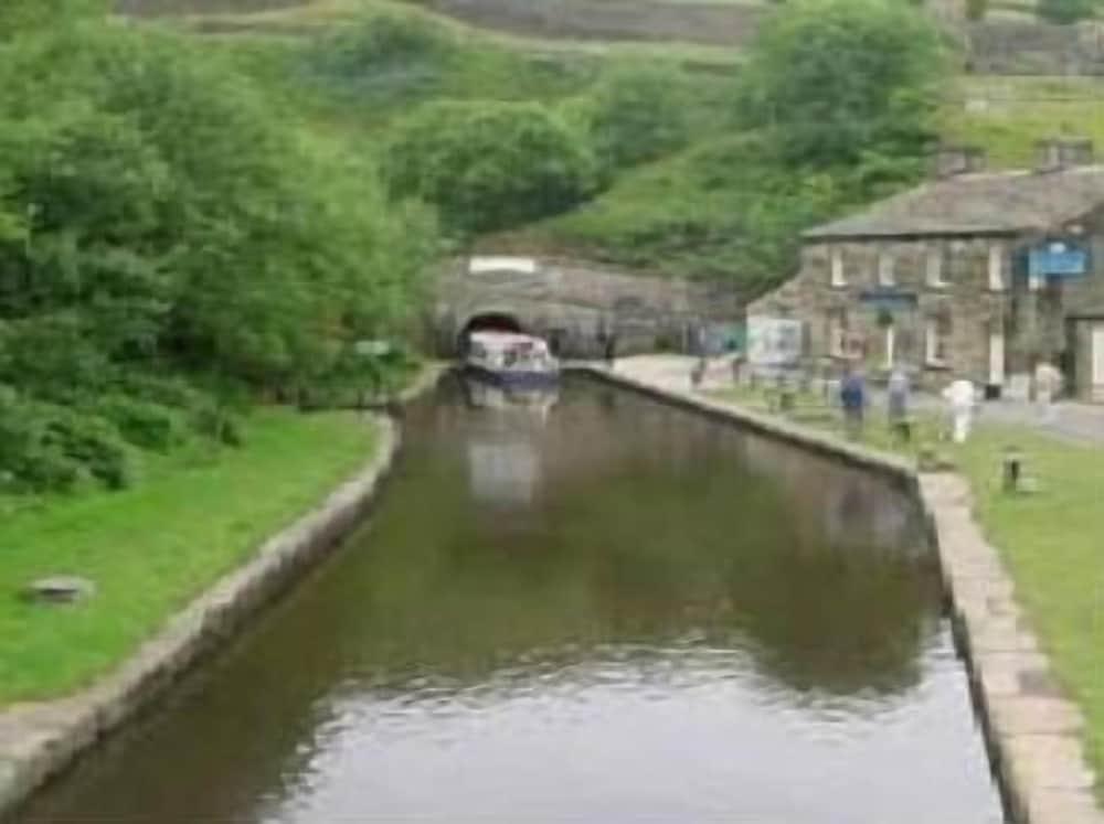 ذي أوليف برانش إن المنطقة الخارجية