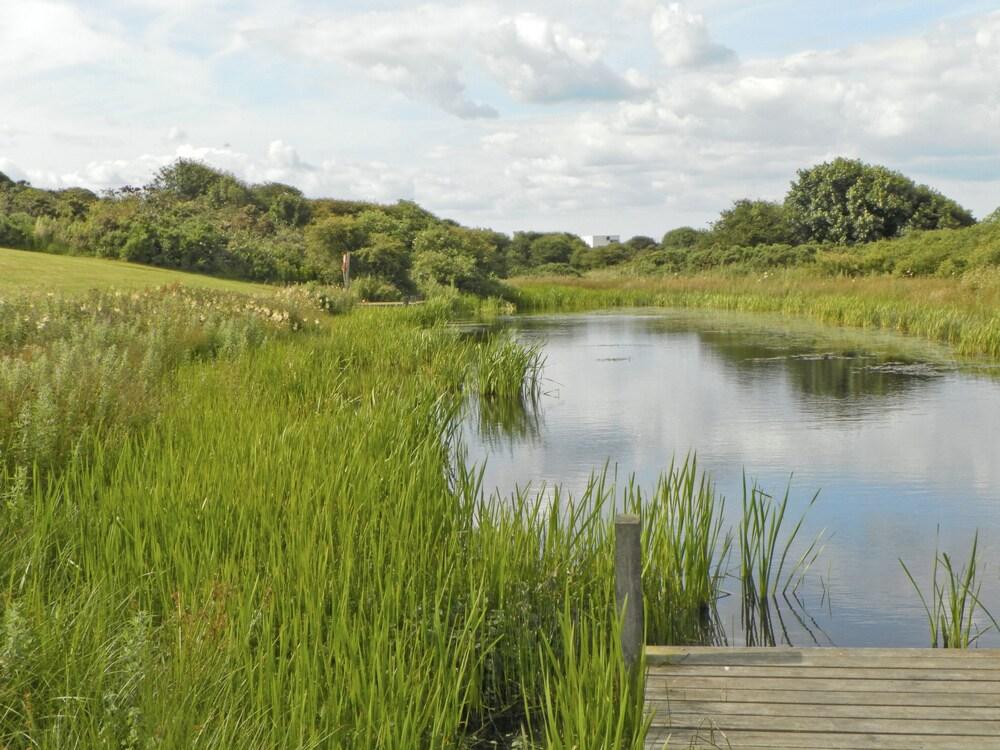 Nett's Coastal Escape Interior