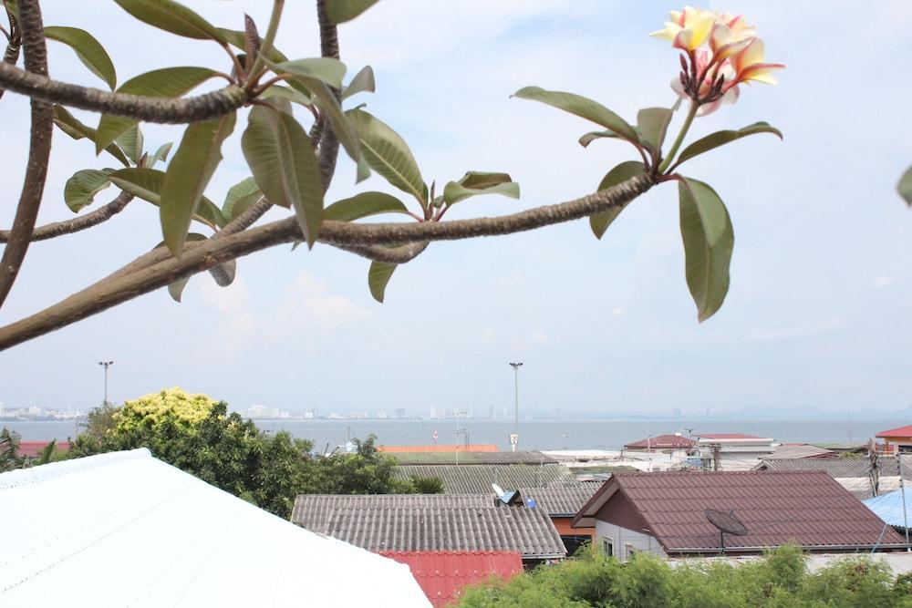 بي أوركيد بول فيلا منظر من الجو