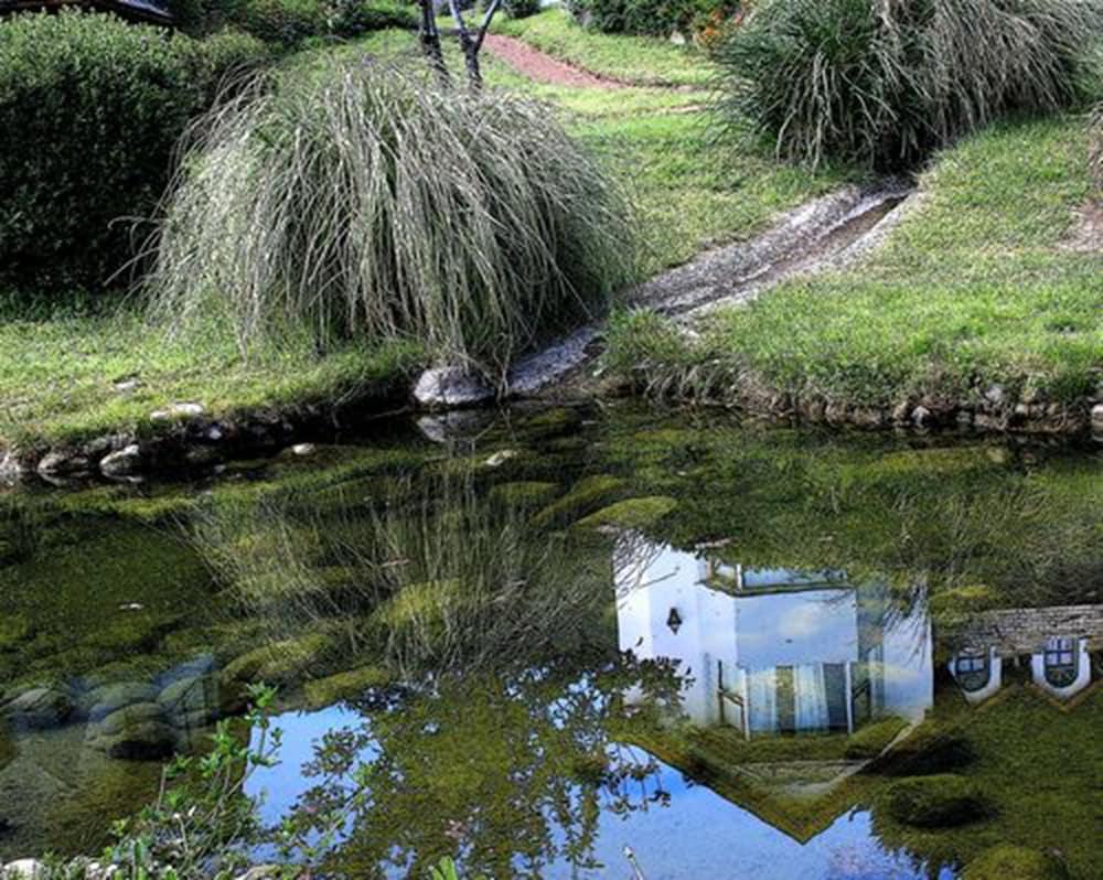 روبو بيهوين ريزورت المنطقة الخارجية