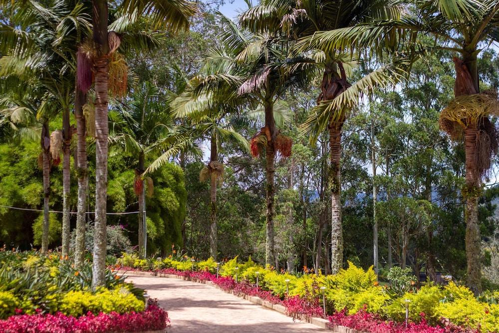 ماونتينز أوف هوب