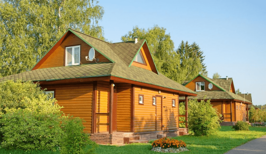 Ivolga Featured Image