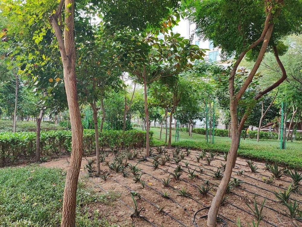 شقق في شوبا كريك فيستا برج بي المنطقة الخارجية