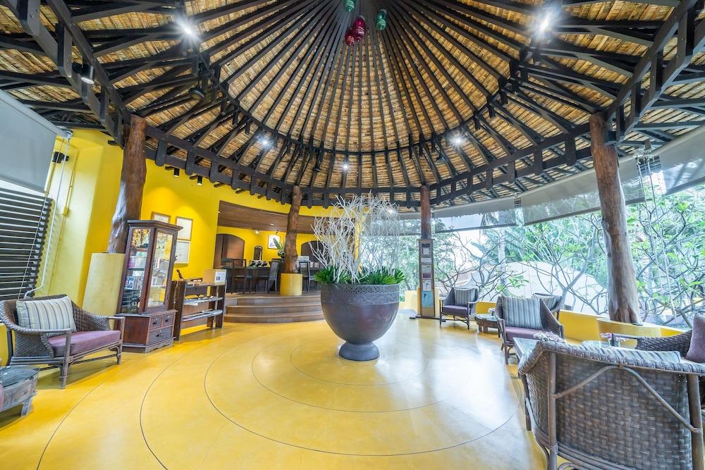 بارادي الردهة