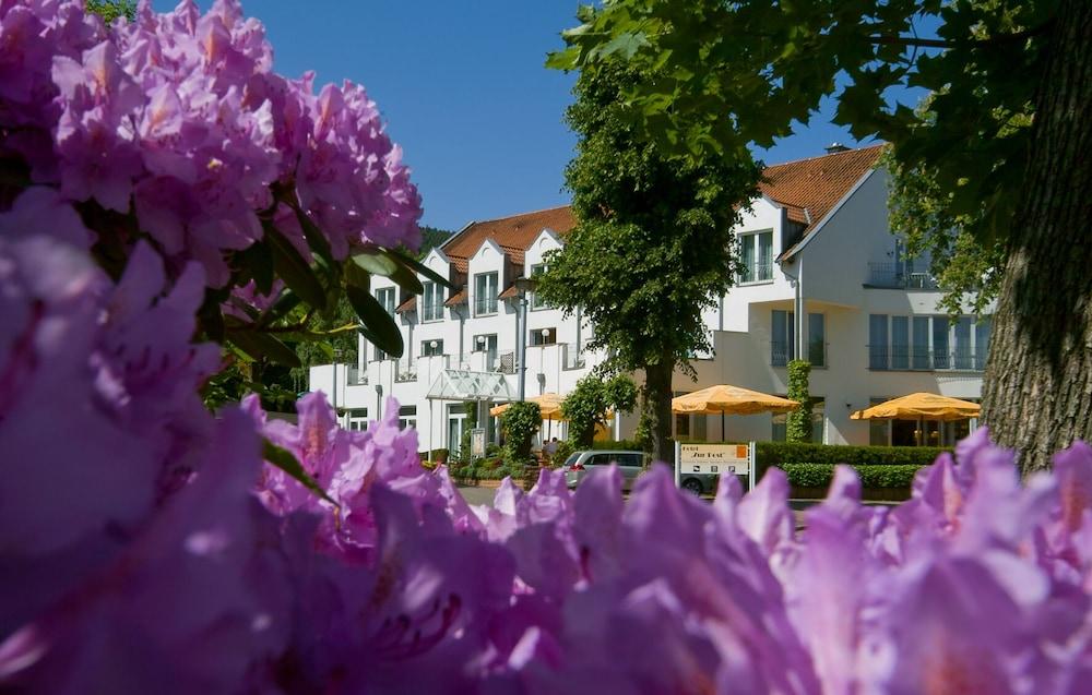 أكزينت هوتل زور بوست