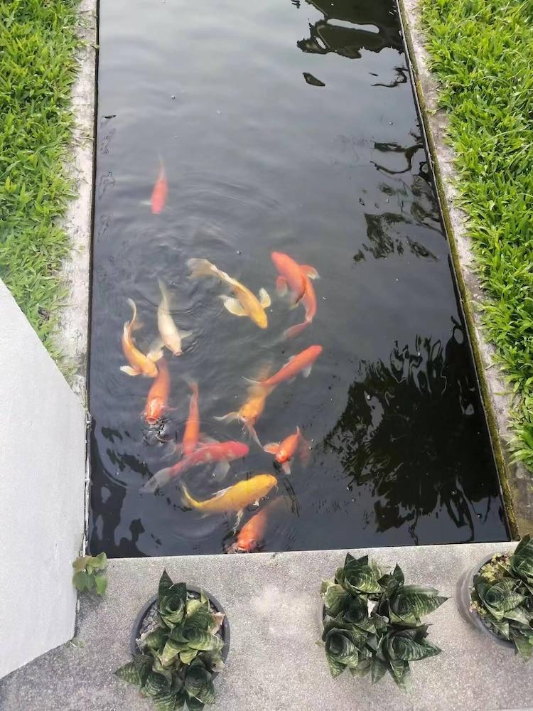 هونج فينج 168 فيلا هوتل المنطقة الخارجية