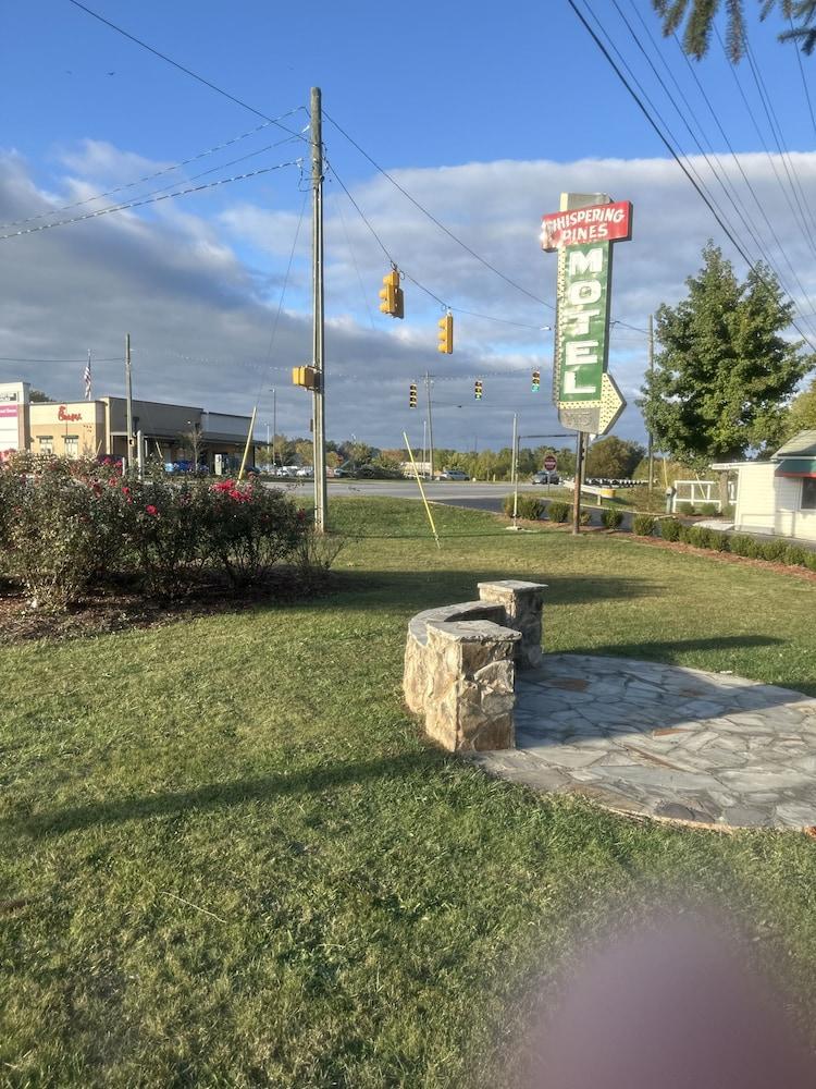 ويسبيرينج باينز موتل