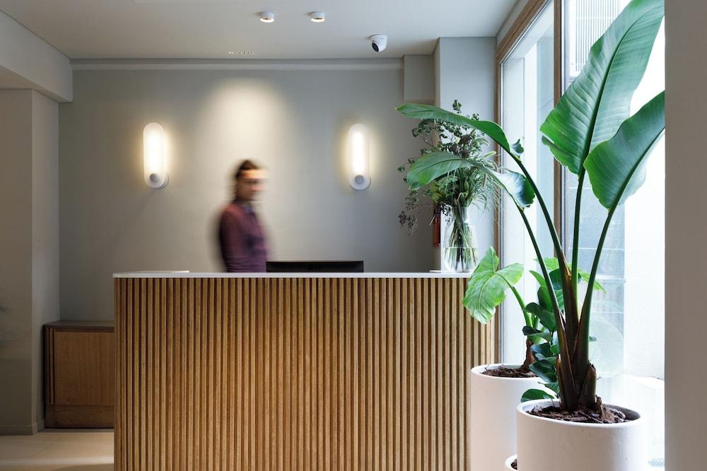 بروميليا هوتل بوتيك منطقة الاستقبال