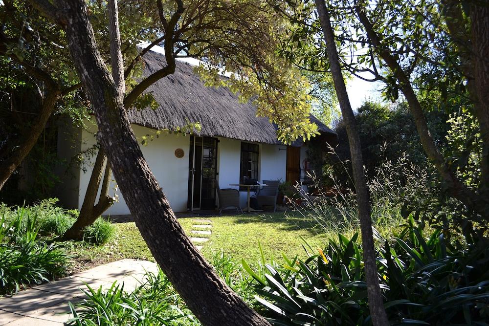 راندوم هارفيست كانتري كوتيدجز المنطقة الخارجية