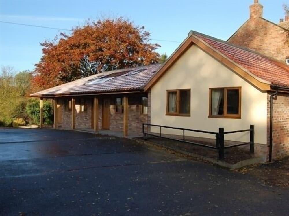 شجرة البلوط القديمة المنطقة الخارجية