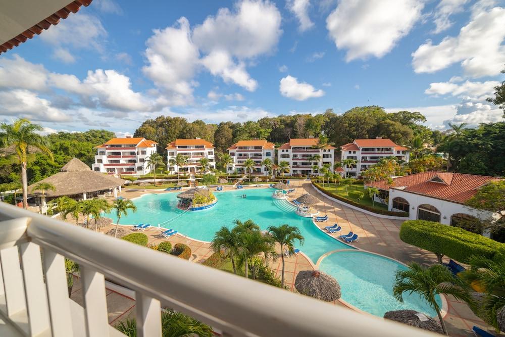 Flavored Vodka Waterslide