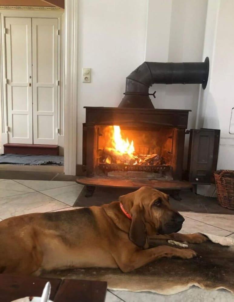 نايس أبارتمنت إن هيس ويذ ريلاكسيشن أريا