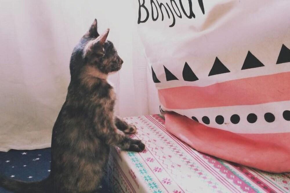 Bo'ao RongXia Youth Hostel (Banyan Tree Inn,Qionghai) Interior Detail