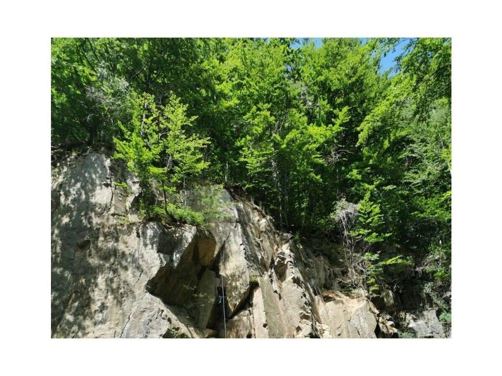 Panoramic View of Lake Harz Room