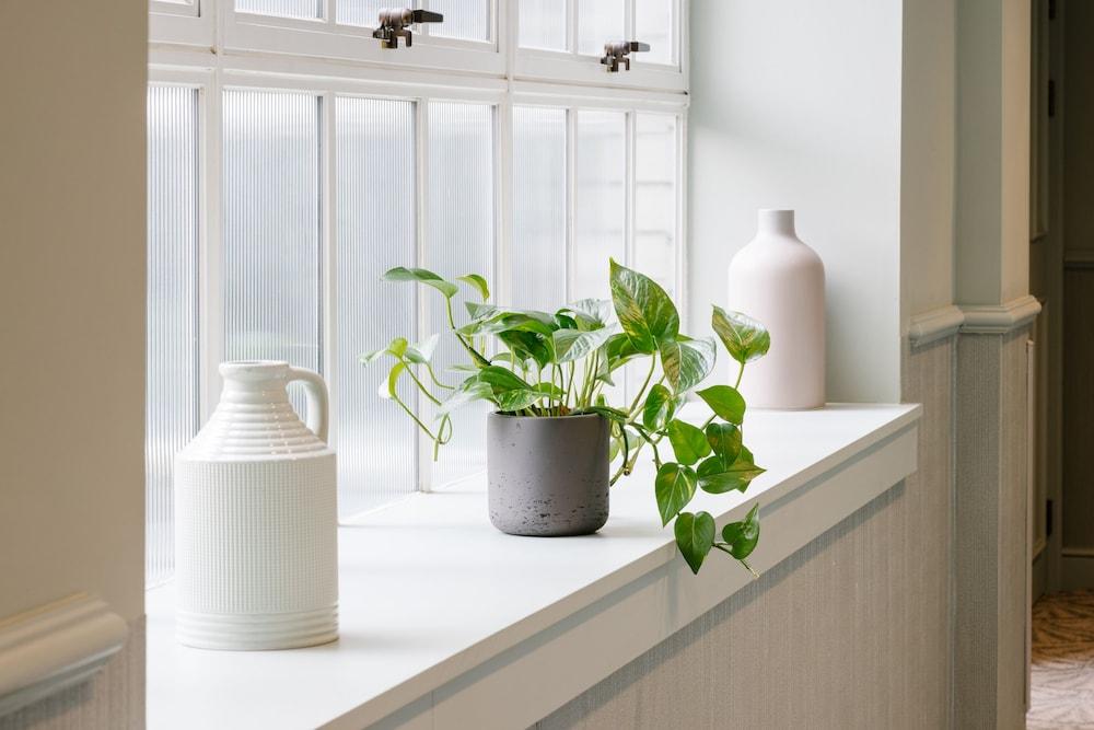 Native Glasgow Interior Detail