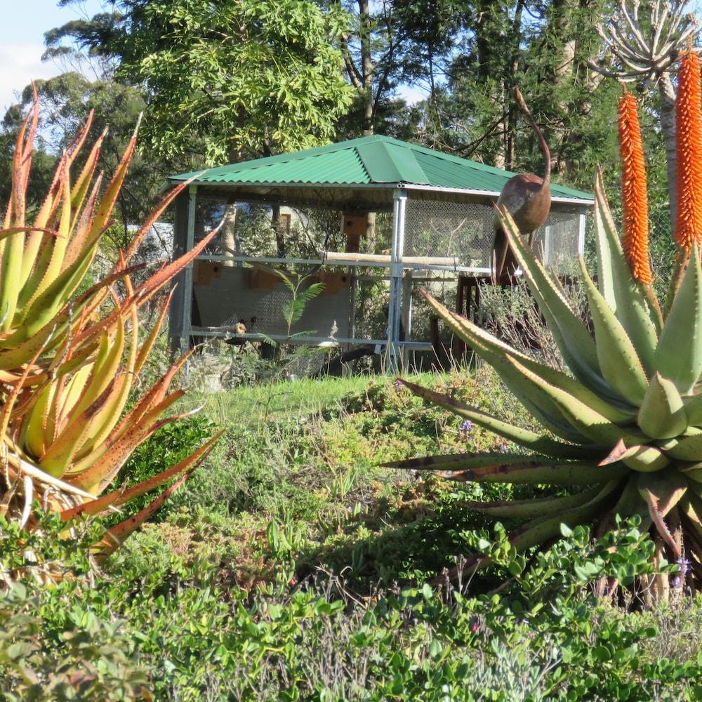 لانجيبيرج جيست لودج المنطقة المحيطة بالمنشأة