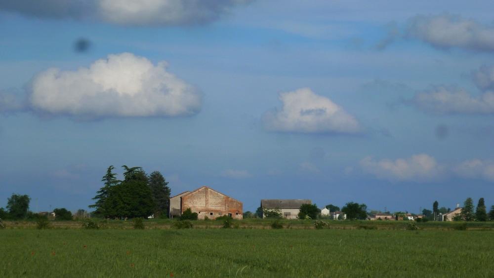 بورديجهينا بد آند بريكفاست إن فارم هاوس المنطقة المحيطة بالمنشأة