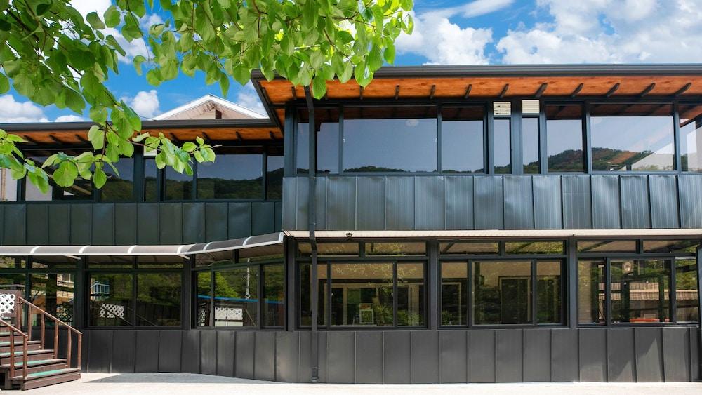 فيرست لاف بنسيون