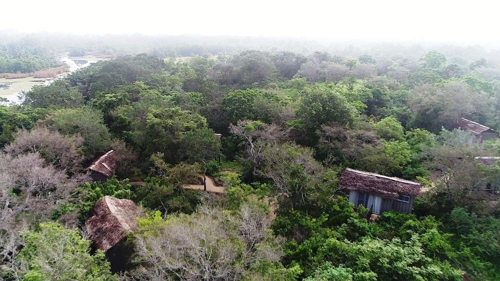 The Backwaters Aerial View