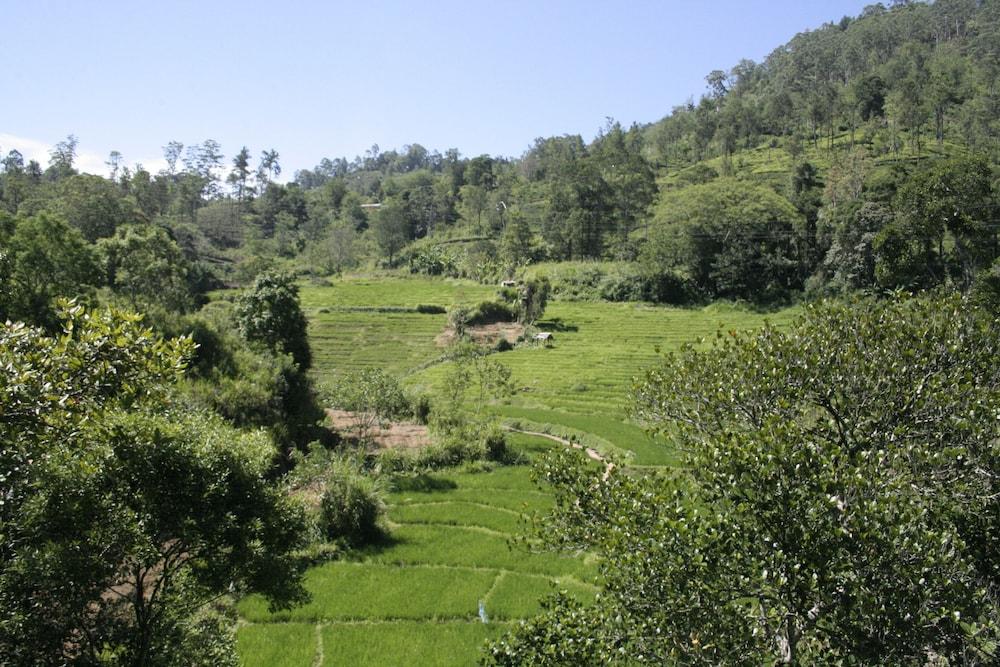 Ayubo Ella - Bed & Breakfast Aerial View