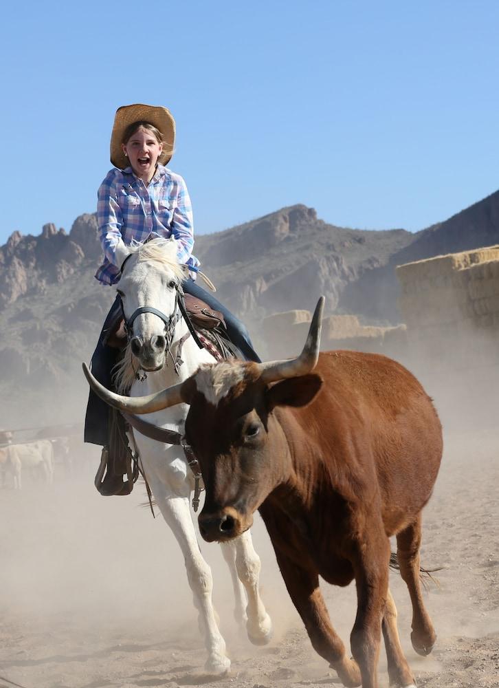 White Stallion Ranch Property Grounds