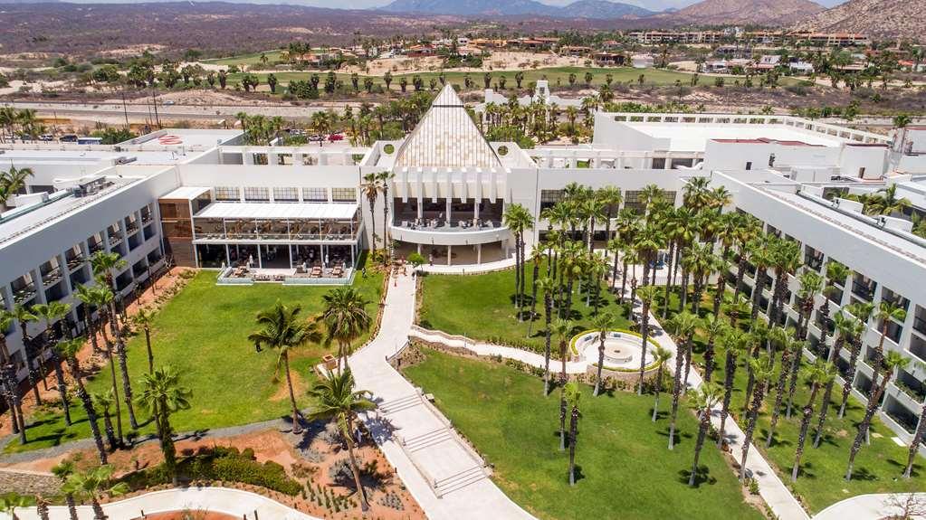 Royal Service at Paradisus Los Cabos – All Inclusive Adults Only