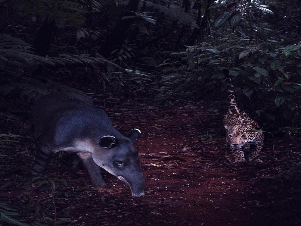 ويل ديكوريتيد 3رد لور يونيت ويذ يونيك ديزاينز آند ماونتنفيو إن كوكو المنطقة المحيطة بالمنشأة