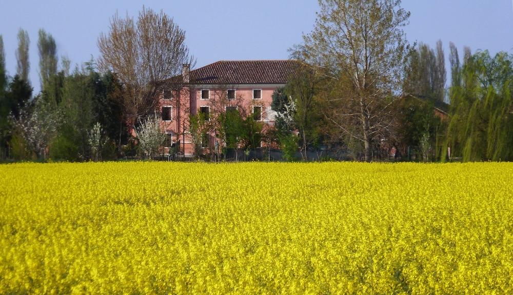 بورديجهينا بد آند بريكفاست إن فارم هاوس المنطقة المحيطة بالمنشأة