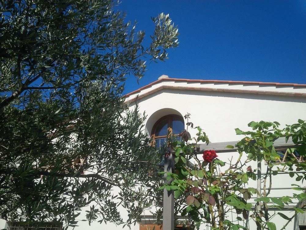 Poggio Corsucci Exterior