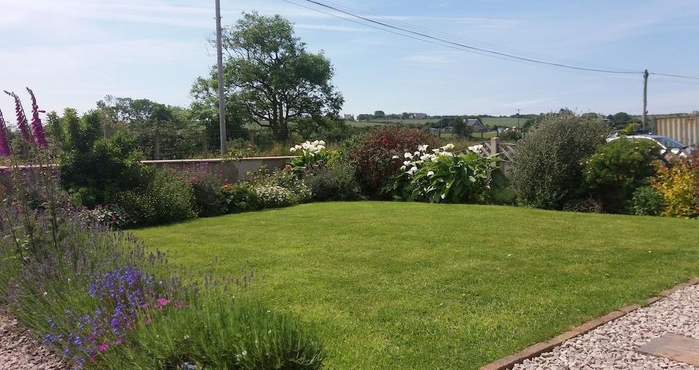 بين للين بد آند بريكفاست الصورة الأساسية