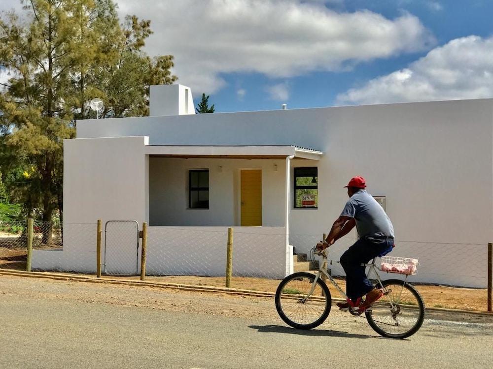 Easy 4 Dayz Exterior