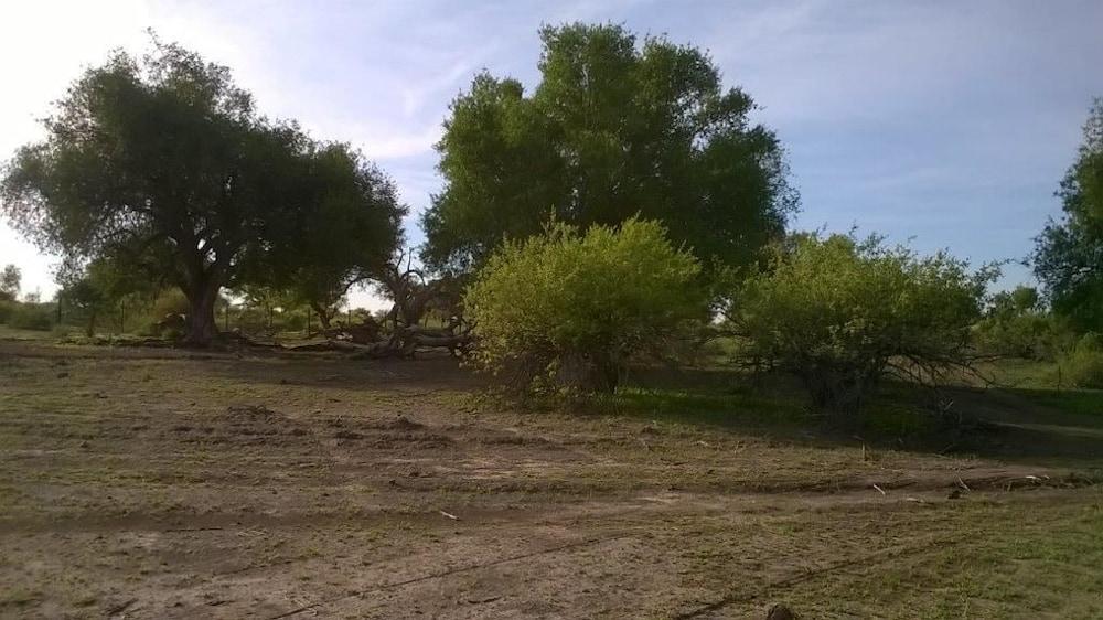 Matsaodi Campsite Property Grounds