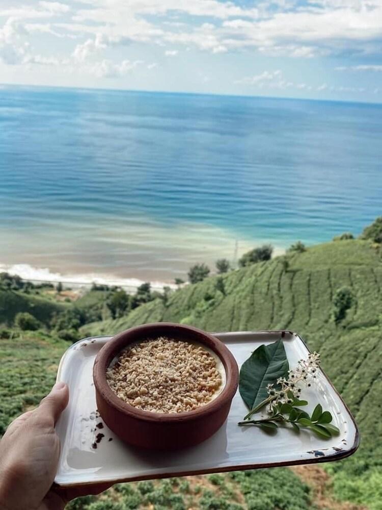 تيبيدبير ريستوران آند بنجالوف الطعام والشراب