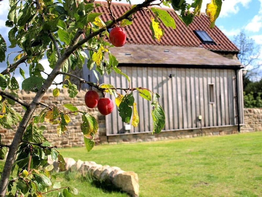 Plum Tree Cottage Exterior