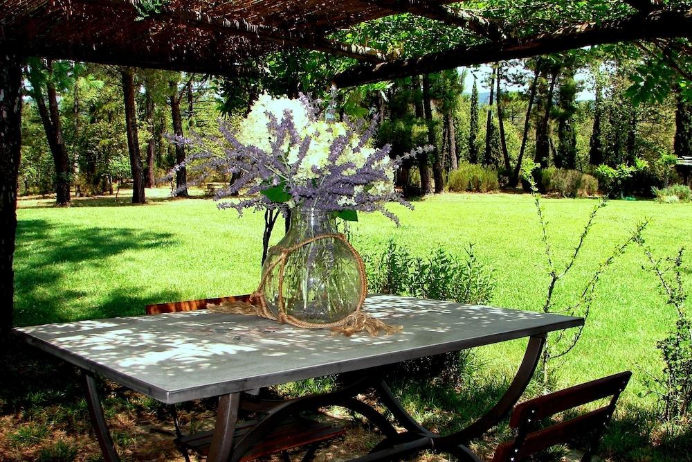 Poggio Corsucci Property Grounds