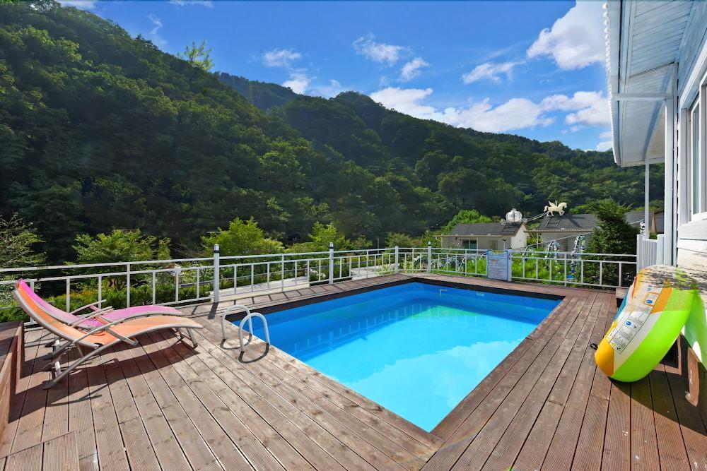 فيفيد بنسيون