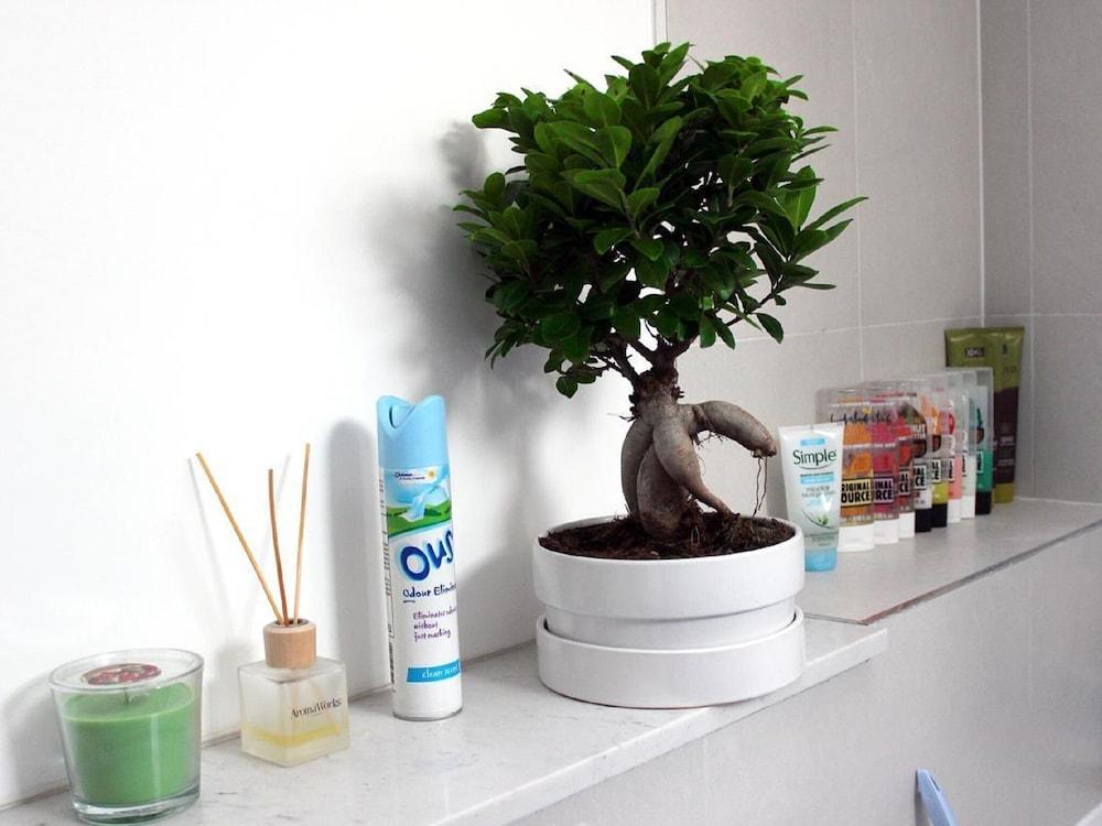 سوفيستيكاتيد فيلا إن لندن ويذ نيتفليكس نير جولف كورسي داخلي