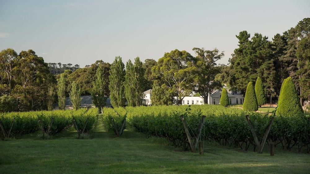 Lancemore Lindenderry Red Hill Property Grounds