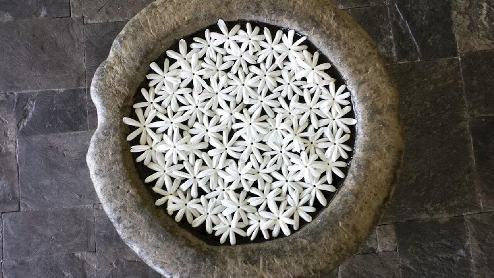 Lakshmis Hotel Interior Detail