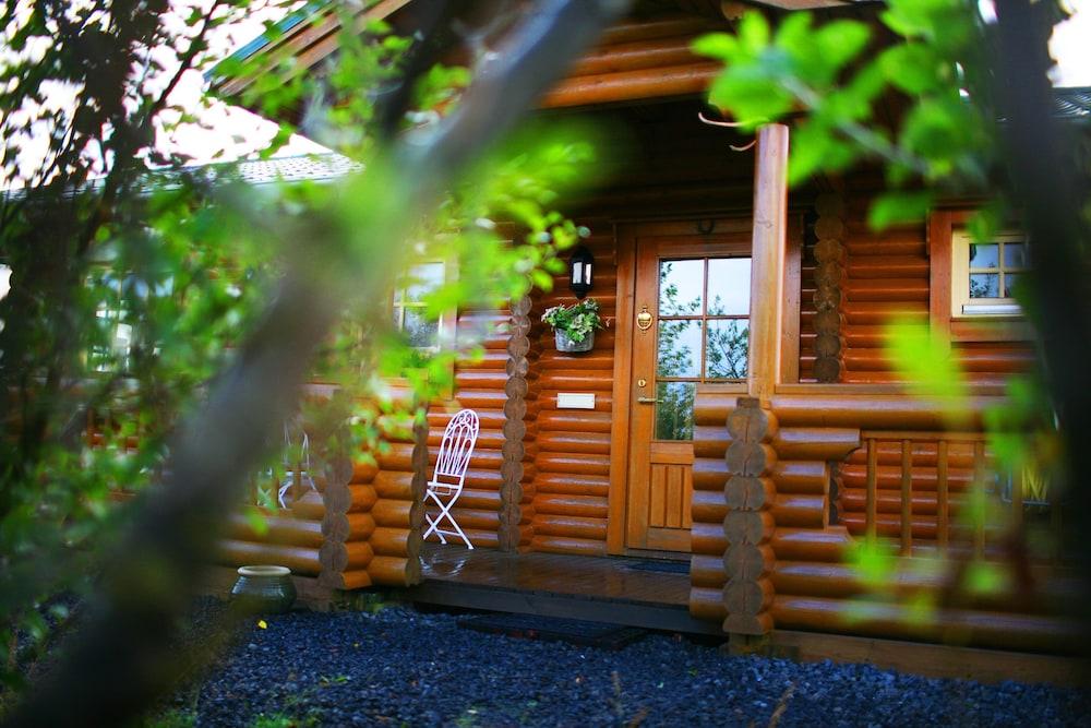 Log Cabin at White River