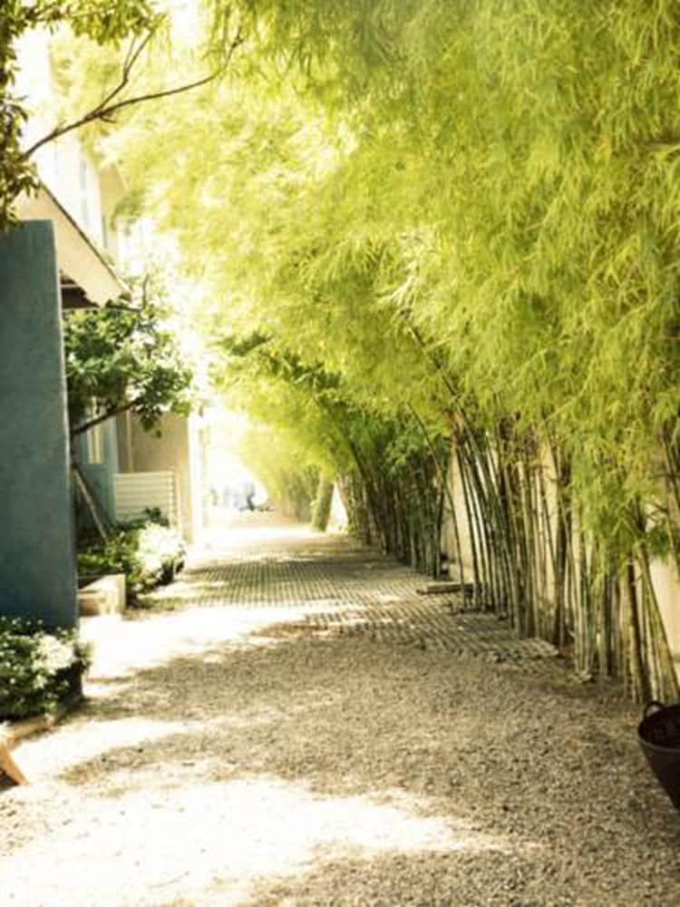 Pomelo Amphawa The Local Residence Property Grounds