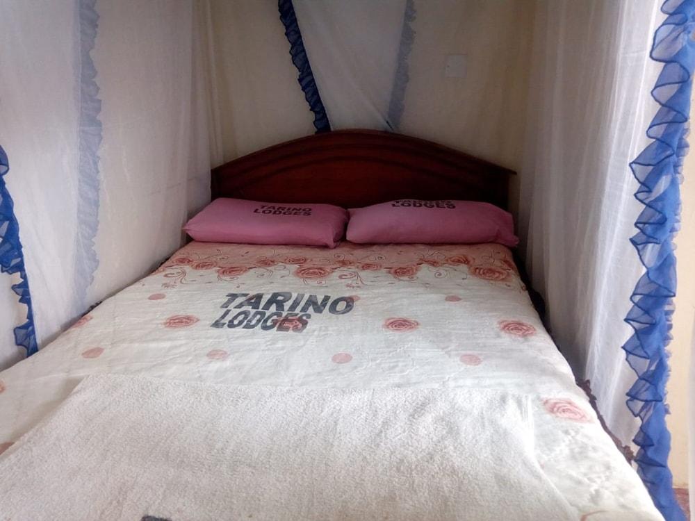 Tarino Bar And Lodging Room