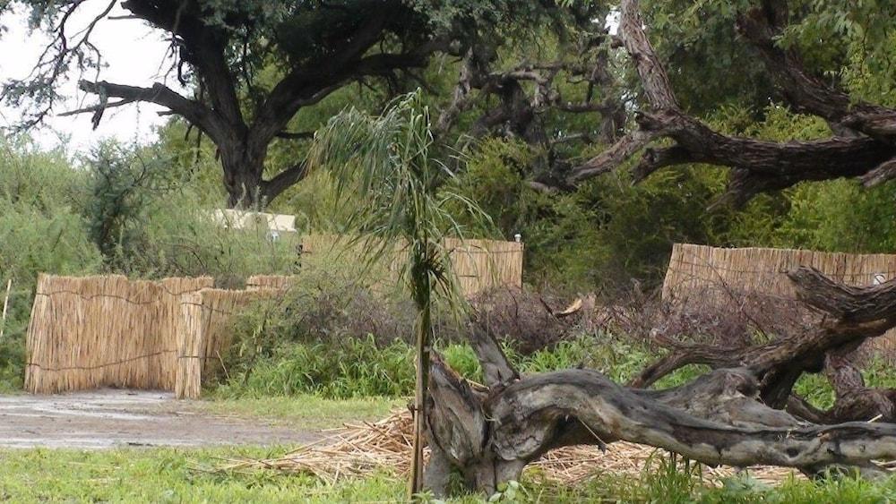 Matsaodi Campsite Property Grounds