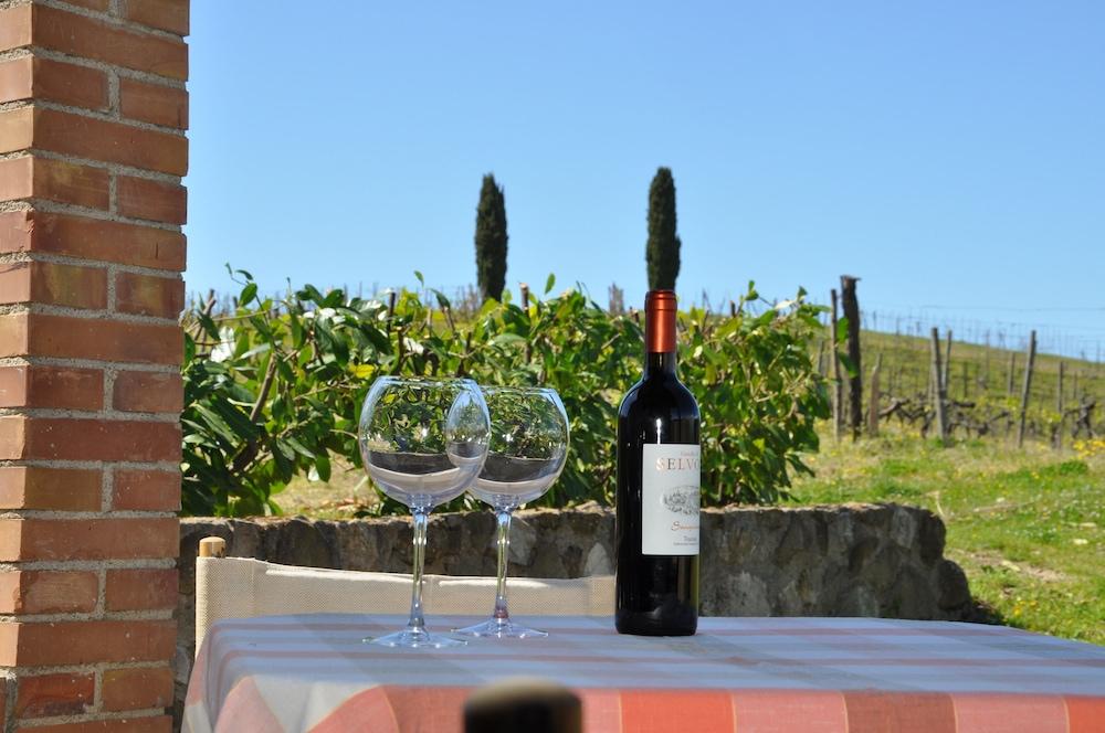 كاستيلو دي سيلفول - للبالغين فقط