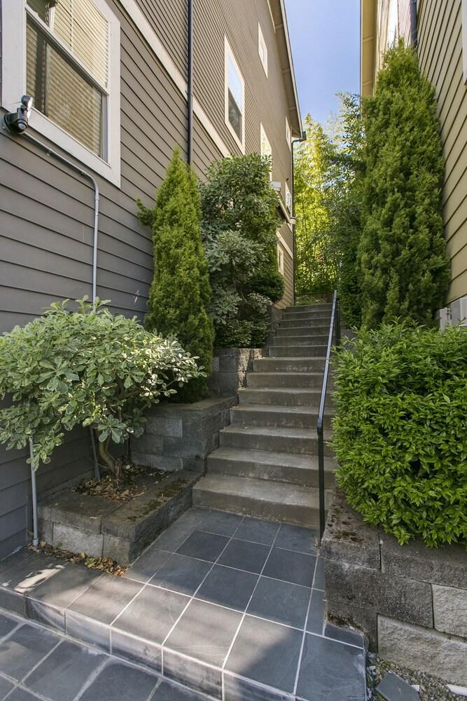 سيتل فاكيشن هوم: ذا لايبراري المنطقة المحيطة بالمنشأة