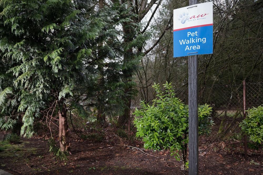 كاندلوود سويتس أوليمبيا/ليسي باي آيتش جي المنطقة الخارجية