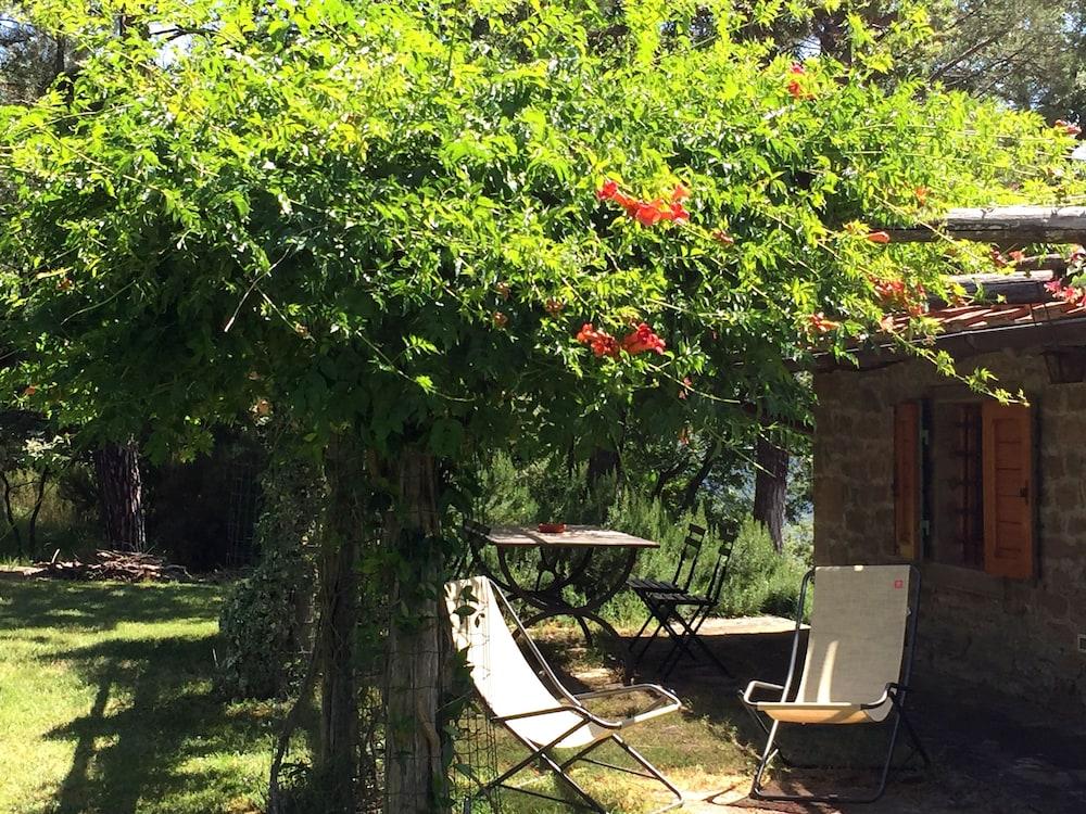 Poggio Corsucci Property Grounds