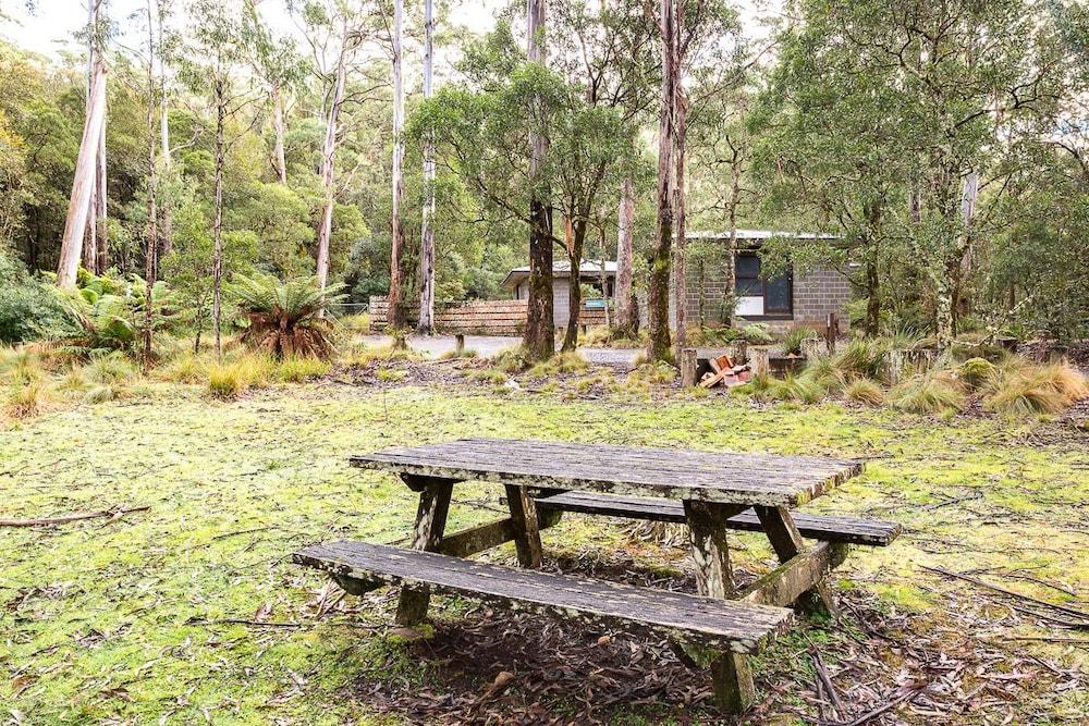 The Residence BBQ/Picnic Area